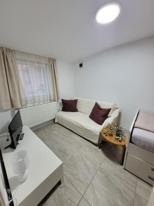 Studio Sibiu Buitenkant foto